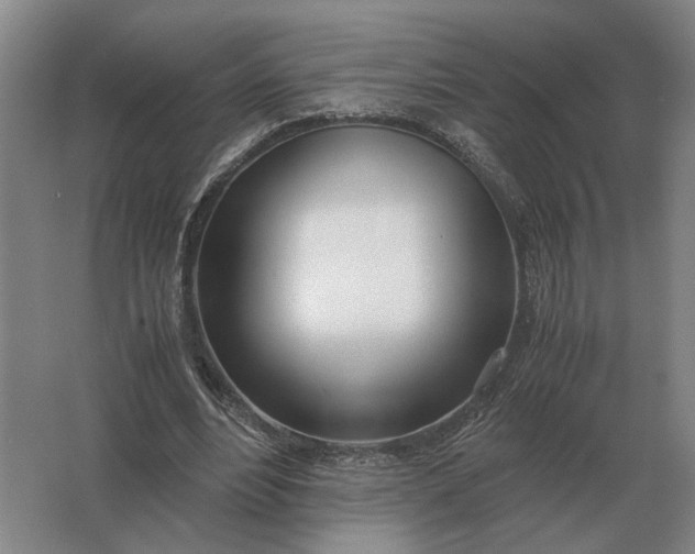 X0000062920488200601271809