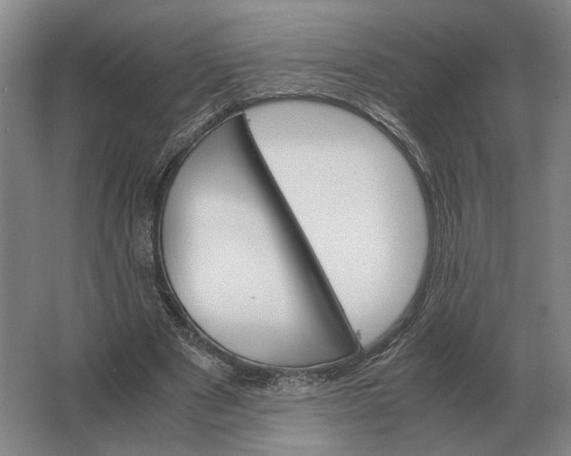 X0000062920489200601271809