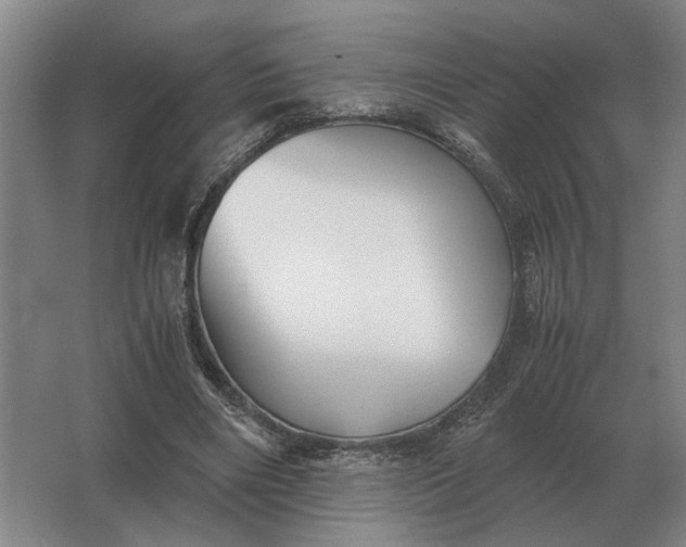 X0000062920490200601271809