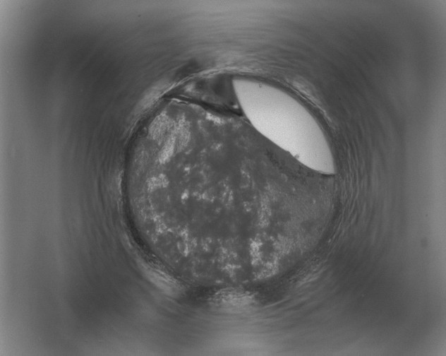 X0000062920491200601271809