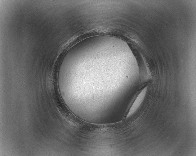 X0000062920492200601271809