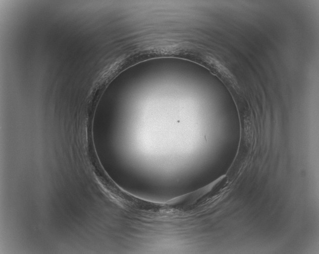 X0000062920493200601271809