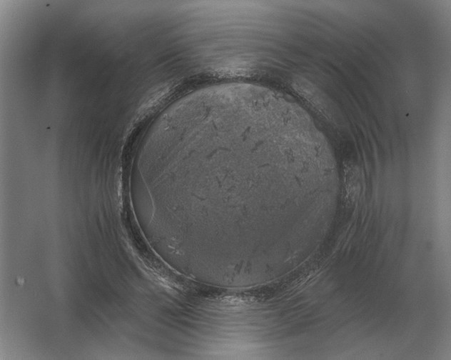 X0000062920494200601271809