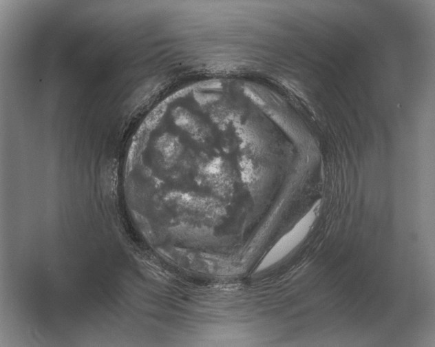 X0000062920495200601271809