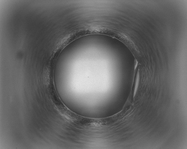 X0000062920496200601271809