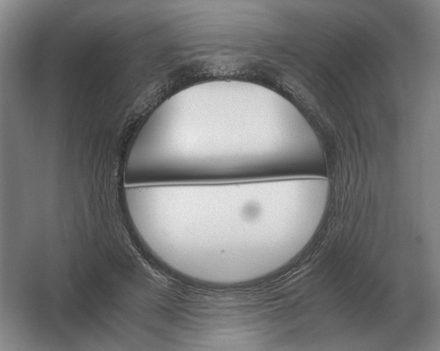 X0000062920497200601271809