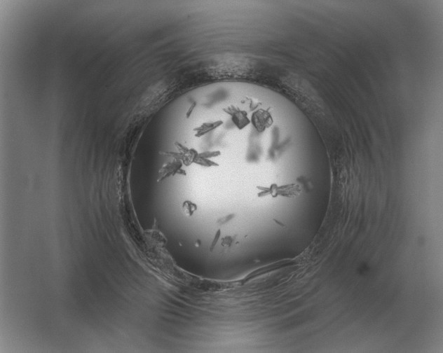 X0000062920498200601271809