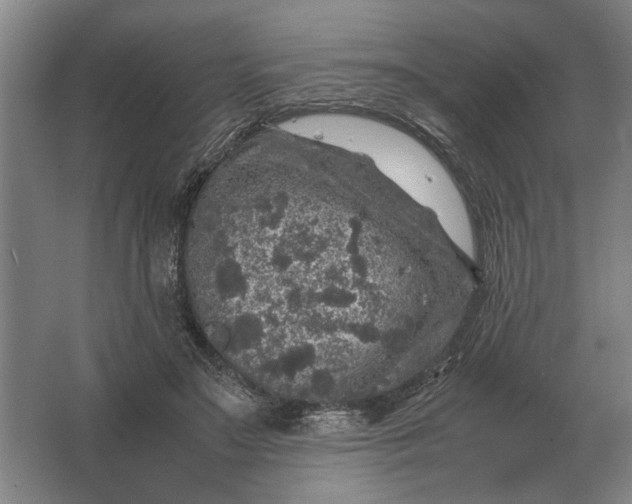 X0000062920499200601271809