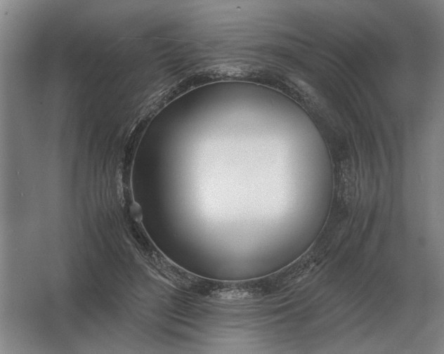 X0000062920500200601271809