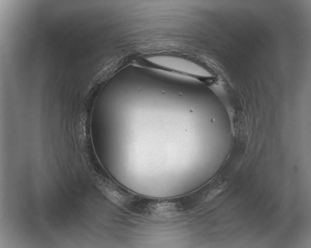 X0000062920501200601271809