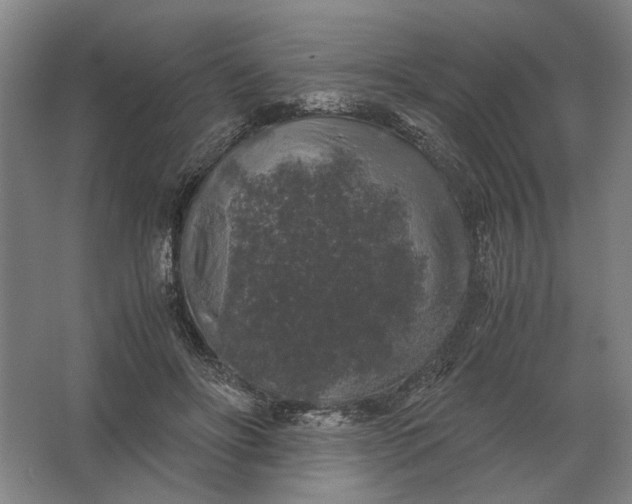 X0000062920502200601271809