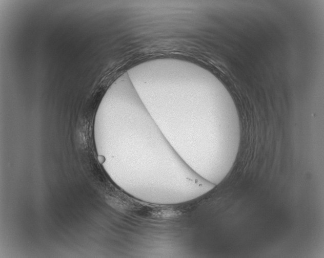 X0000062920503200601271809