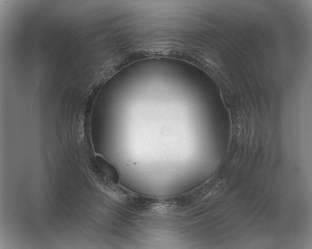 X0000062920504200601271809