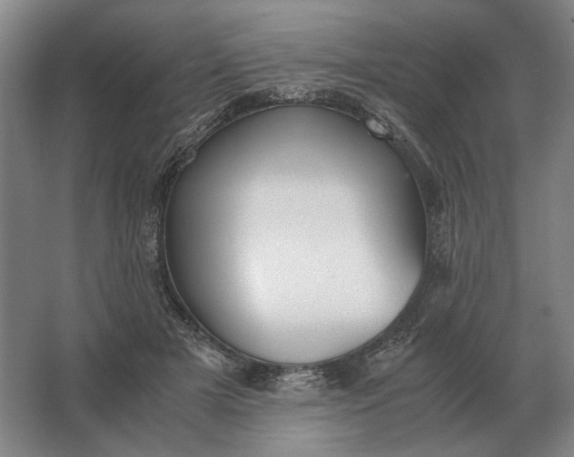 X0000062920505200601271809