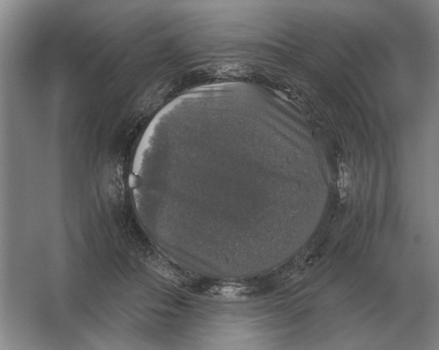 X0000062920506200601271809