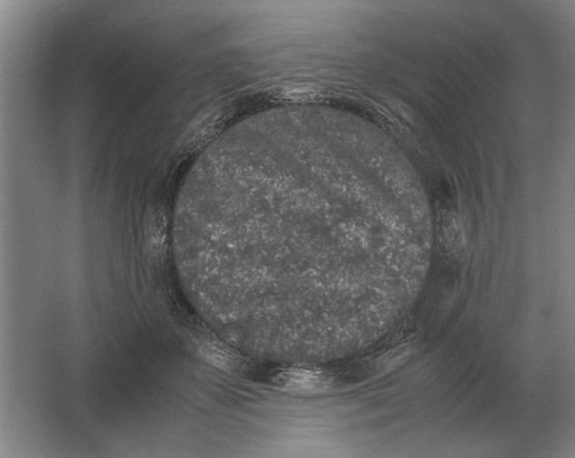 X0000062920507200601271809