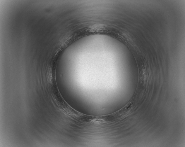 X0000062920508200601271809