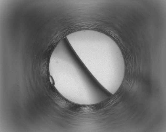 X0000062920509200601271809