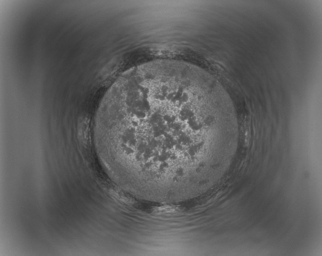 X0000062920511200601271809