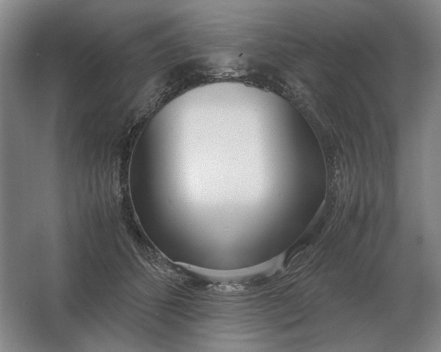 X0000062920512200601271809