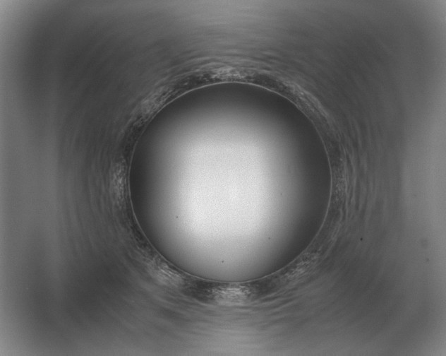 X0000062920513200601271809