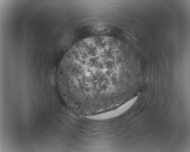 X0000062920515200601271809