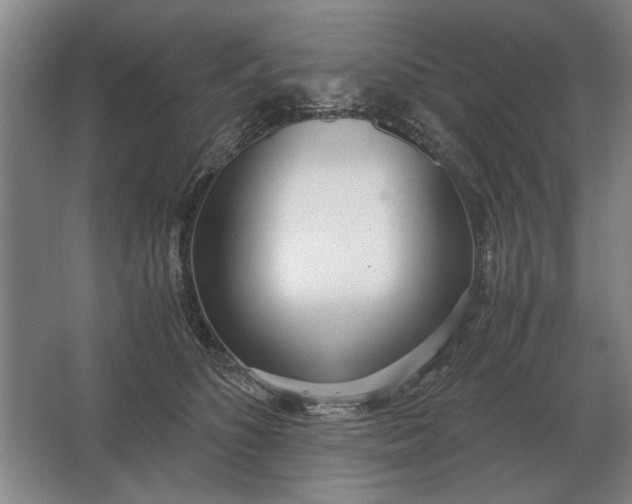 X0000062920516200601271809