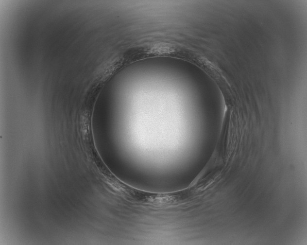 X0000062920517200601271808