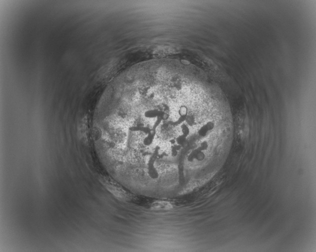 X0000062920519200601271808