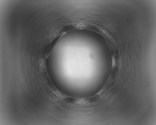 X0000062920521200601271808