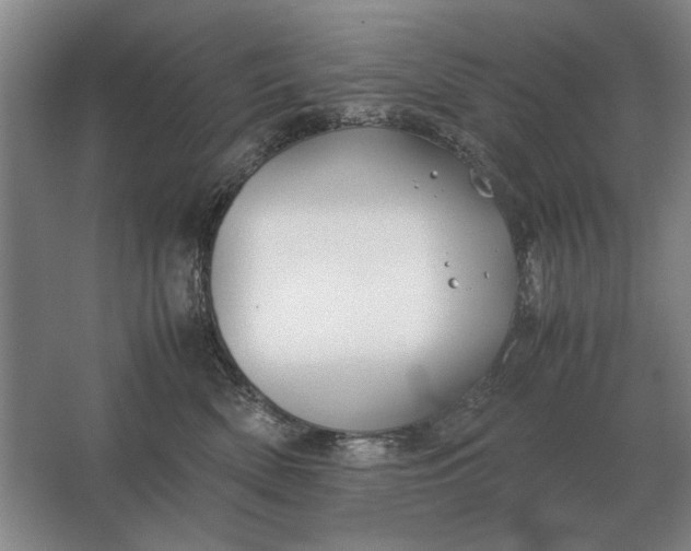 X0000062920522200601271808