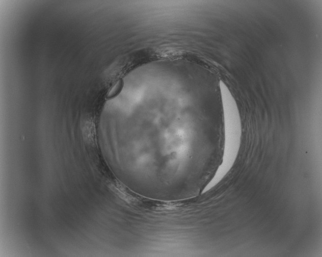 X0000062920523200601271808