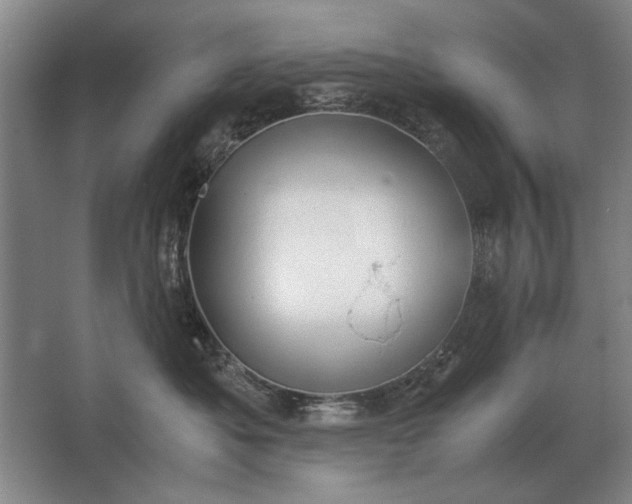 X0000062920525200601271808