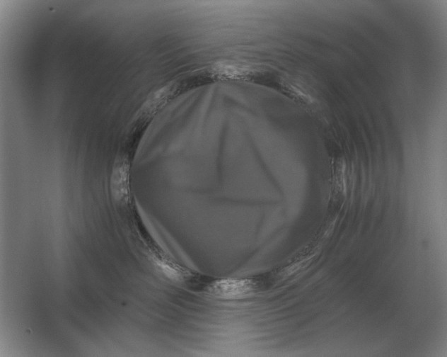 X0000062920526200601271808