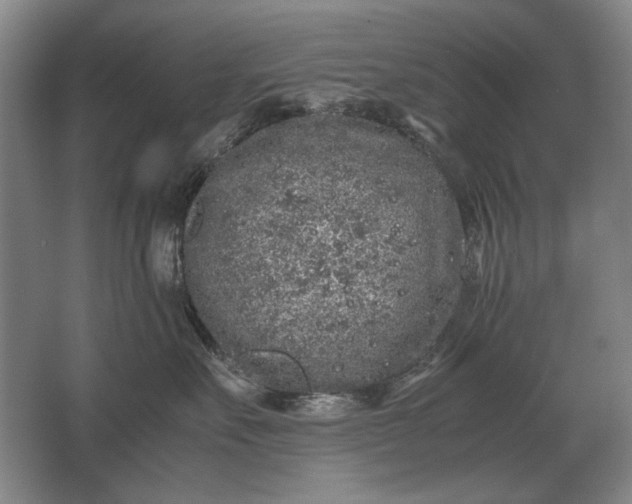 X0000062920527200601271808