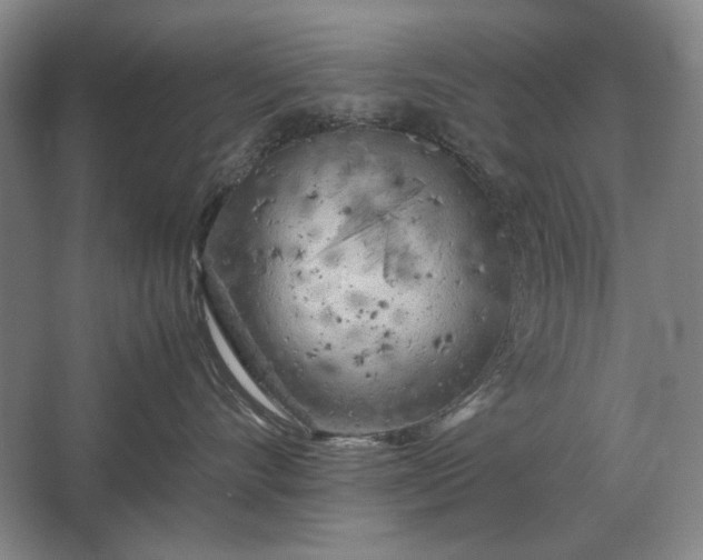 X0000062920528200601271808