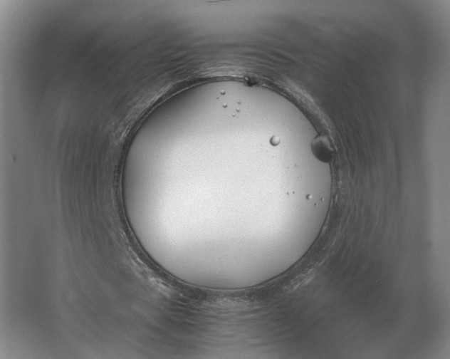 X0000062920529200601271808