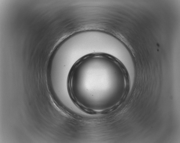 X0000062920530200601271808