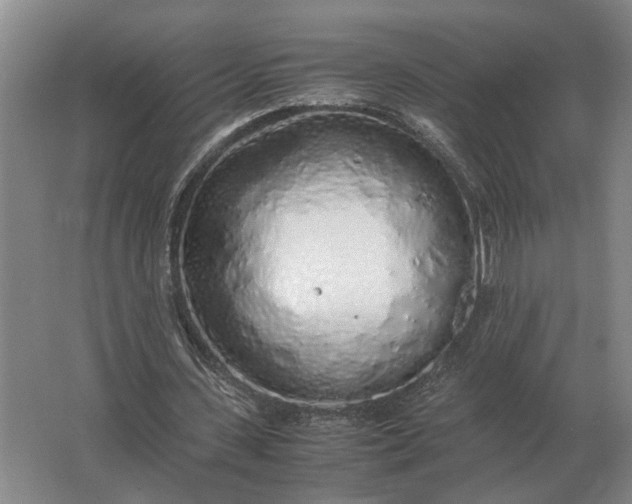 X0000062920531200601271808