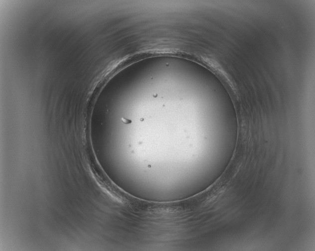 X0000062920533200601271808