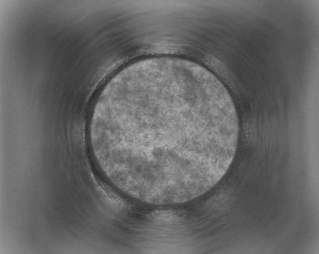 X0000062920534200601271808