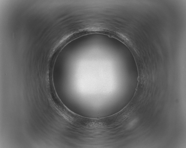 X0000062920535200601271808