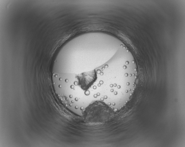 X0000062920537200601271808