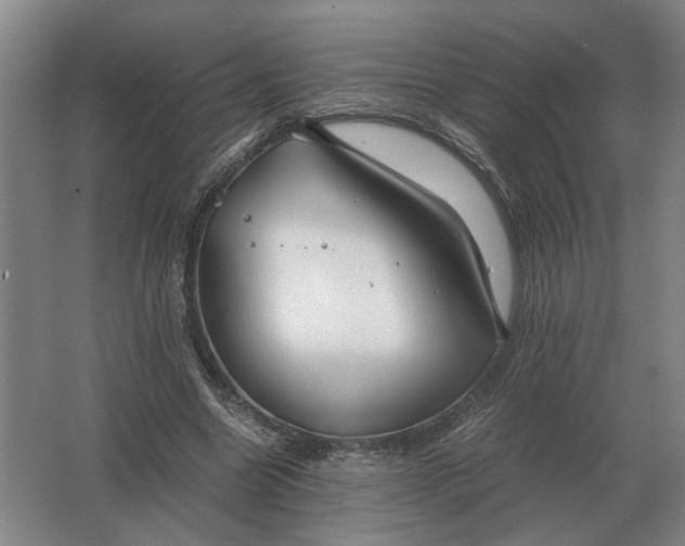 X0000062920538200601271808