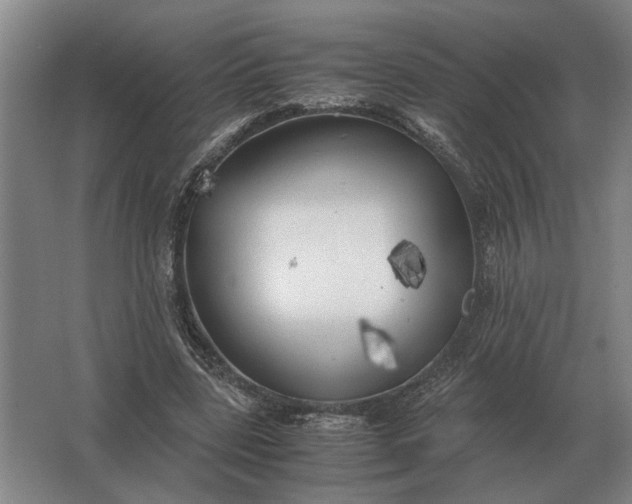 X0000062920539200601271808