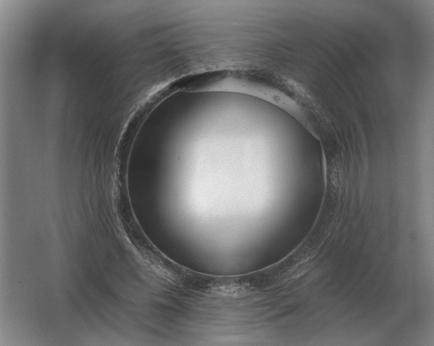 X0000062920540200601271808