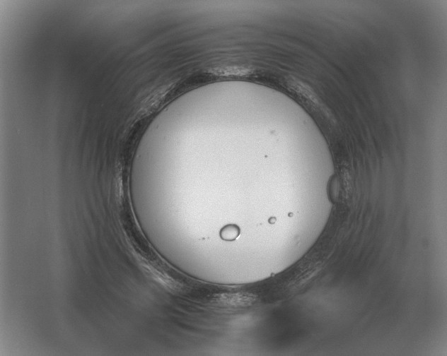 X0000062920541200601271808