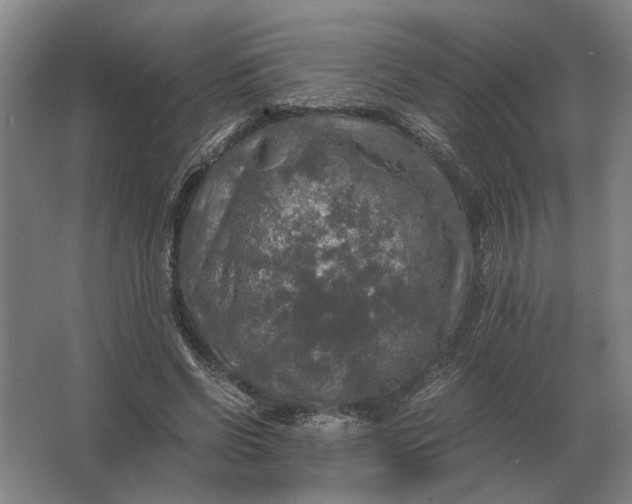 X0000062920542200601271808