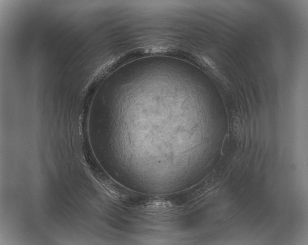 X0000062920543200601271808