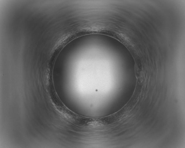 X0000062920544200601271808